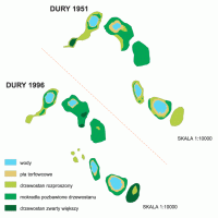 kartogram Dury